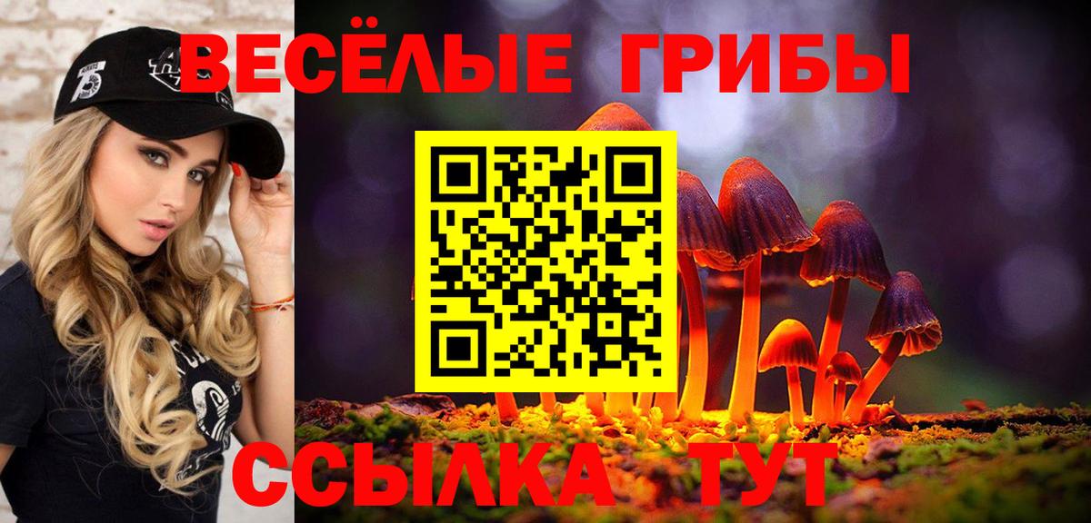 Галлюциногенные грибы Psilocybe  Галлюциногенные грибы GOLDEN TEACHER  Чапаевск  Вход с VPN 