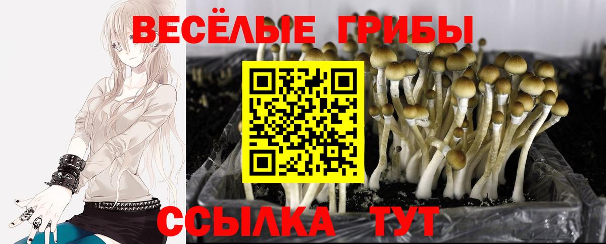 Псилоцибиновые грибы Magic Shrooms Чапаевск
